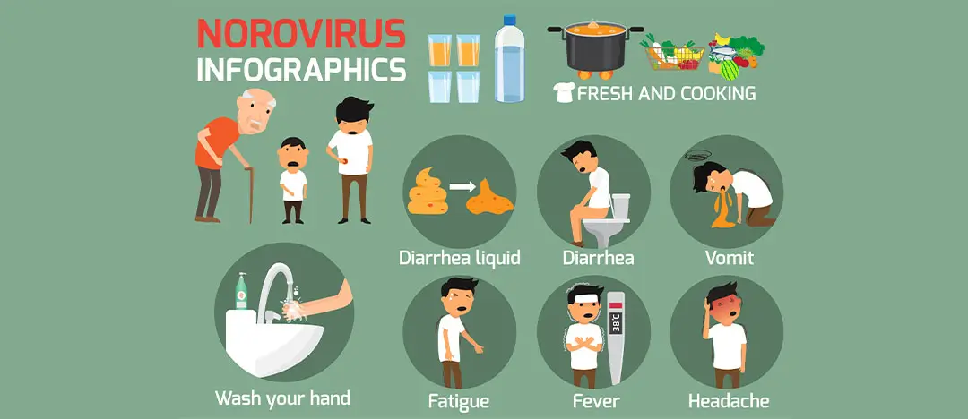 Norovirus: A Silent Epidemic in the United States